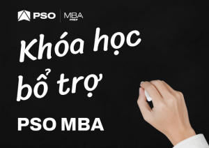 Khóa học bổ trợ của chương trình PSO MBA