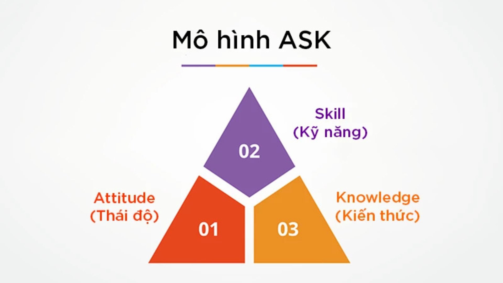 Mô hình ASK là gì? Công cụ đánh giá nhân sự không nên bỏ qua