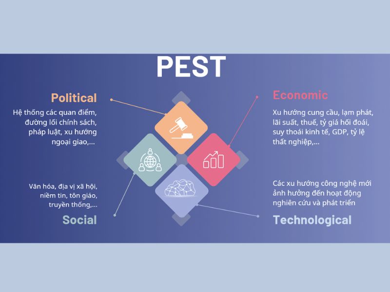 mô hình pest