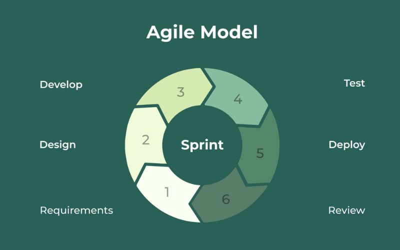 Mô hình quản lý dự án PSO MBA